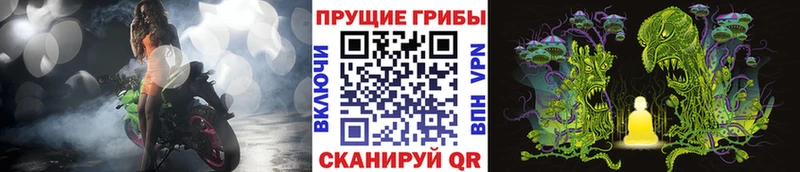 Псилоцибиновые грибы GOLDEN TEACHER Татарск
